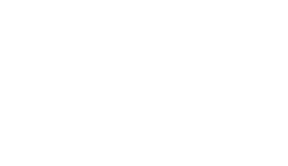 Fuse NEI